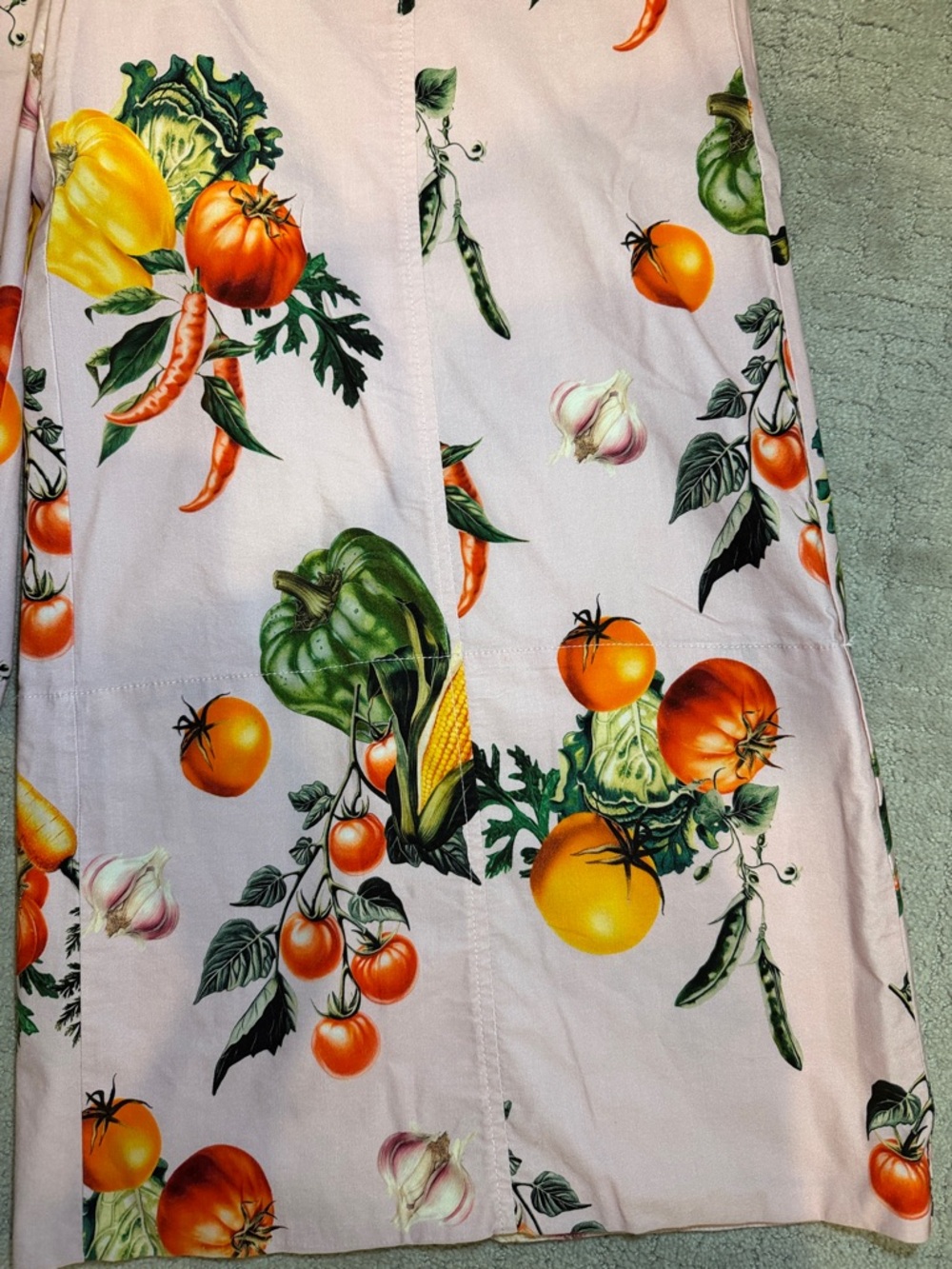 Maeve High-Rise Printed Crop Wide-Leg Pants garden veg print Anthropologie US10 - Picture 7 of 13